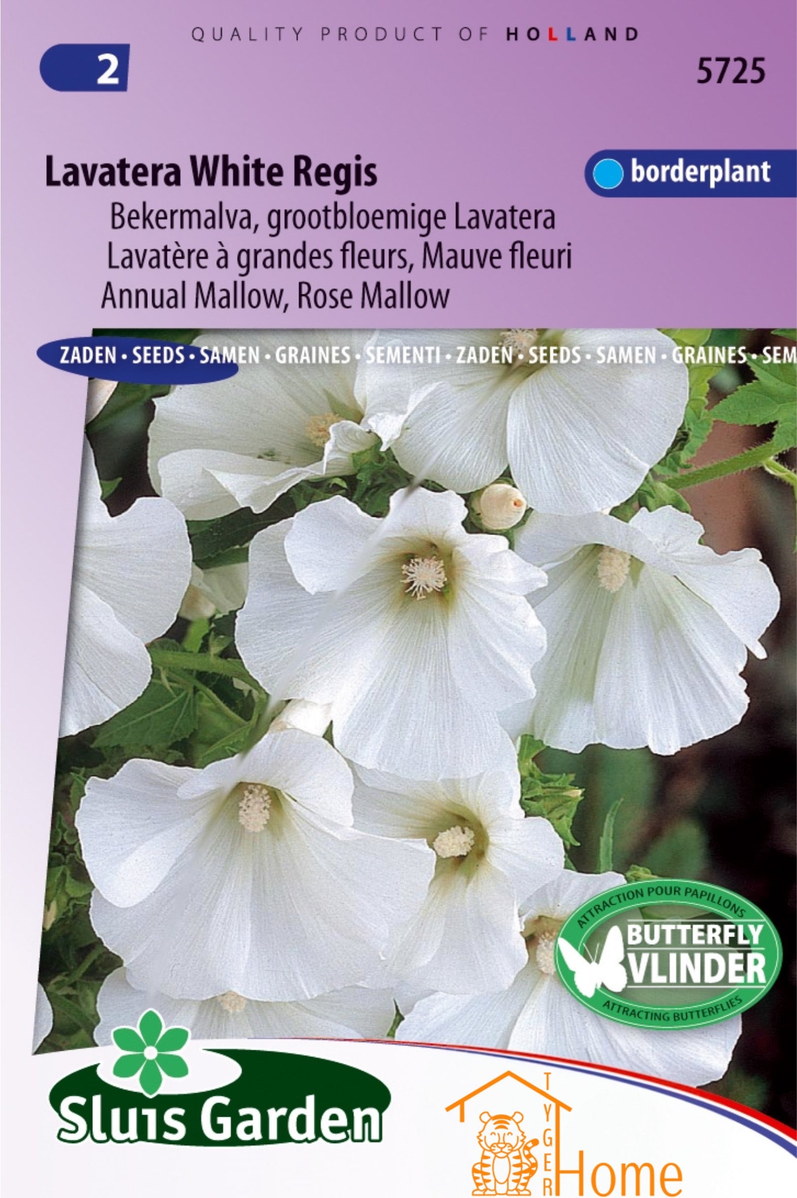 Maart is Het Moment voor Zonnebloemen
