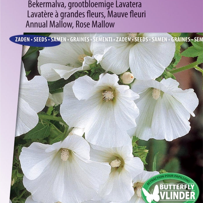 Maart is Het Moment voor Zonnebloemen