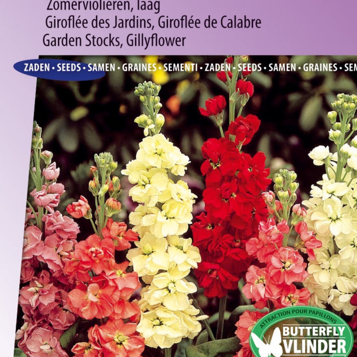 Transformeer je tuin en keuken met deze unieke zaadjes 🌿🌼
