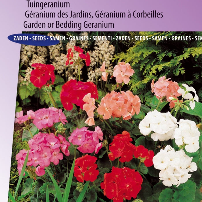 Essentiële tips kleurvolle colour show mixed - tygerhome.nl