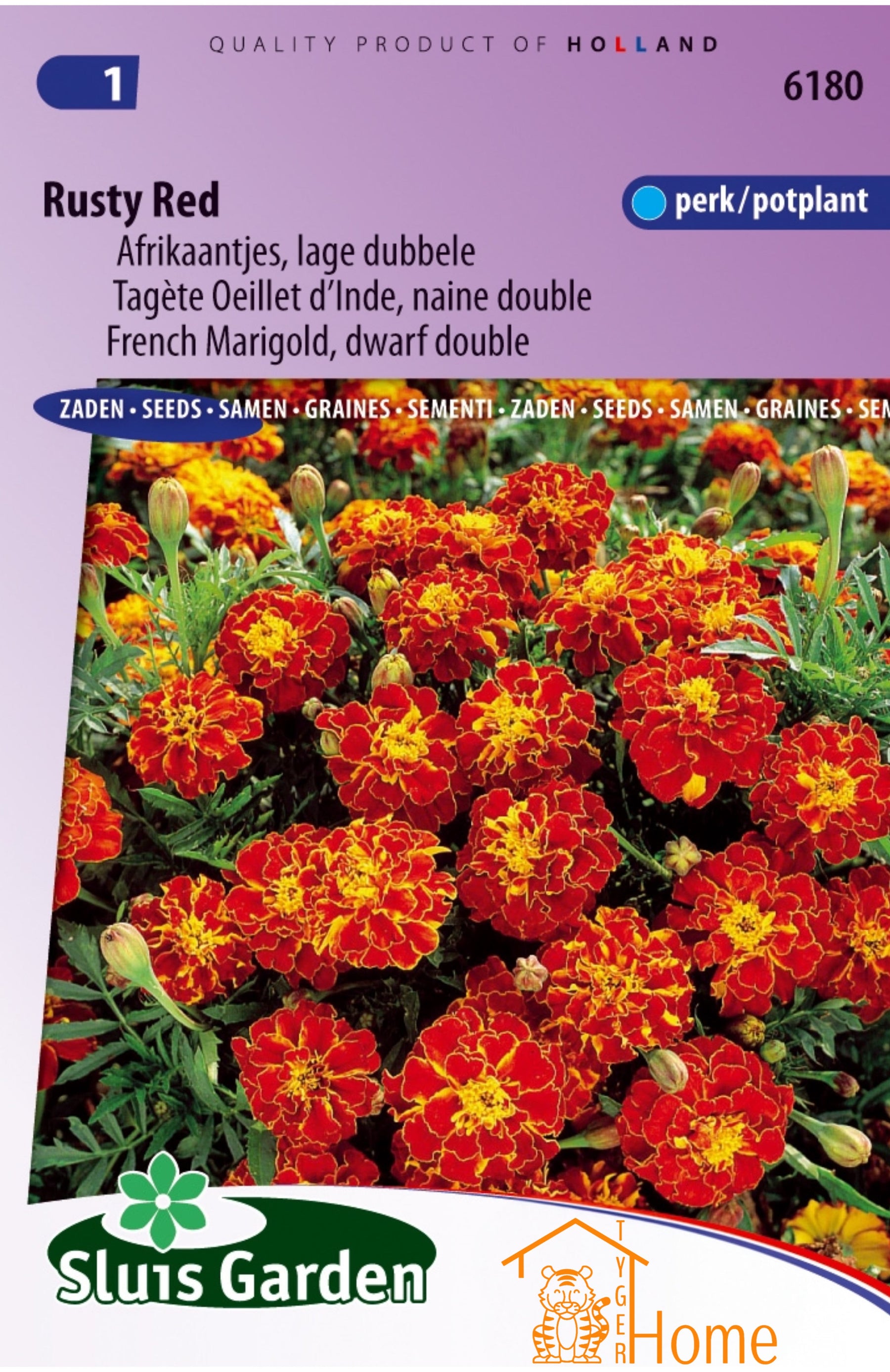 Nederlandse Tulpen - Kweek Je Eigen Voorjaarstuin