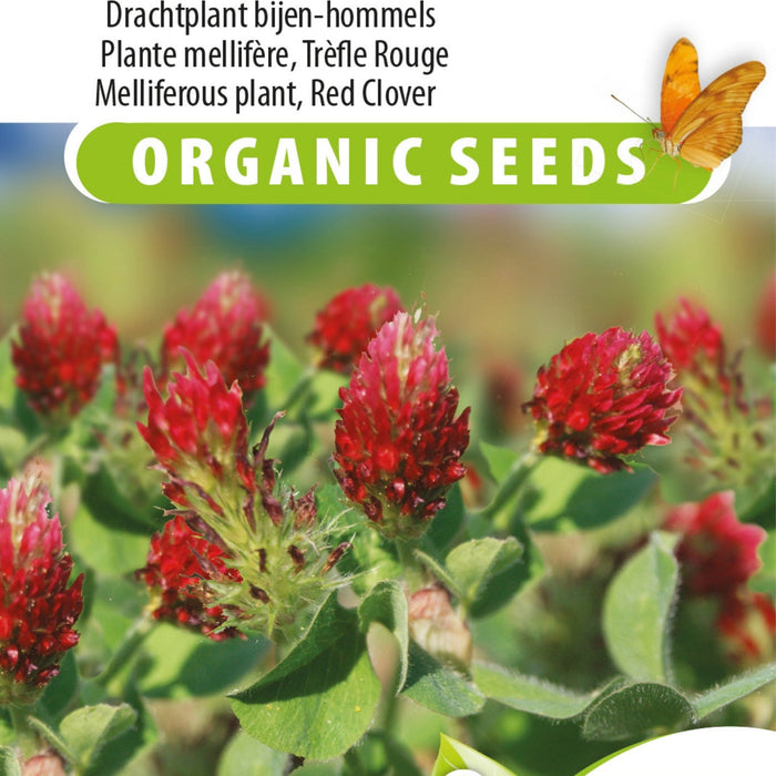 Tuin Geheimen die Je Echt Verbazen