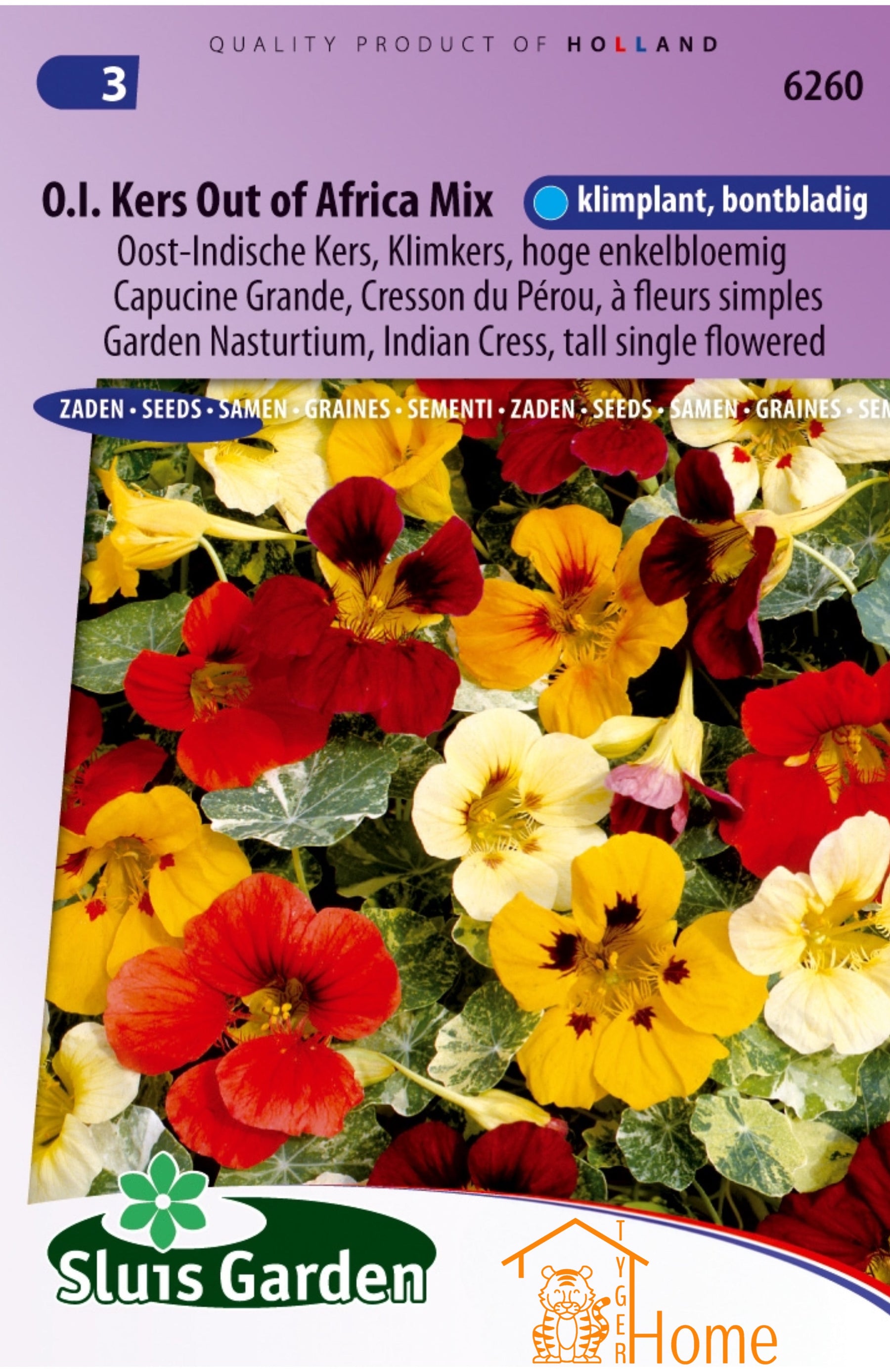 Beste bloemenzaden voor een kleurrijke tuin