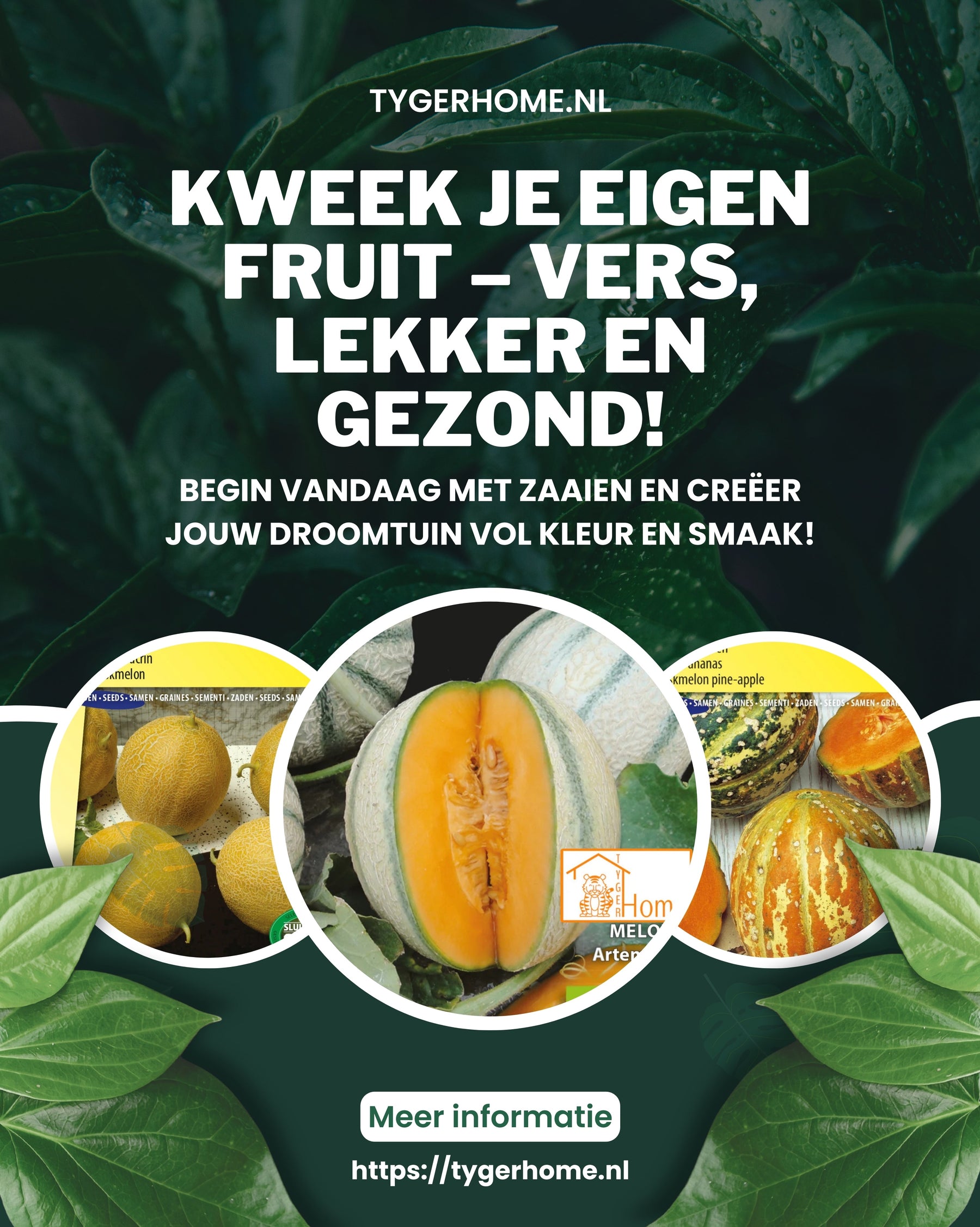 3 Vitaminerijke zomer plantjes die je echt nodig hebt