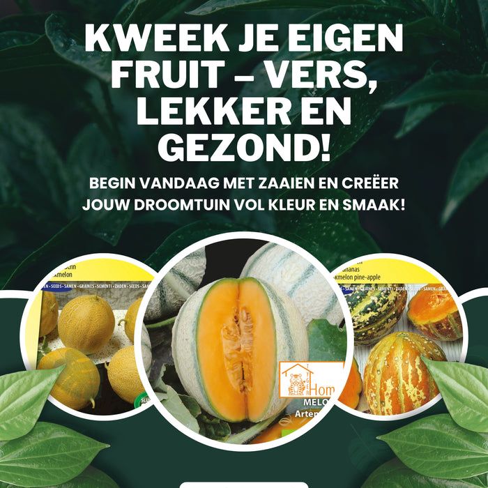 3 Vitaminerijke zomer plantjes die je echt nodig hebt