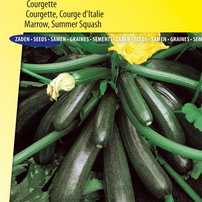 Waarom de Ambassador F1 Courgette Zaden de Beste Keuze zijn voor je Tuin