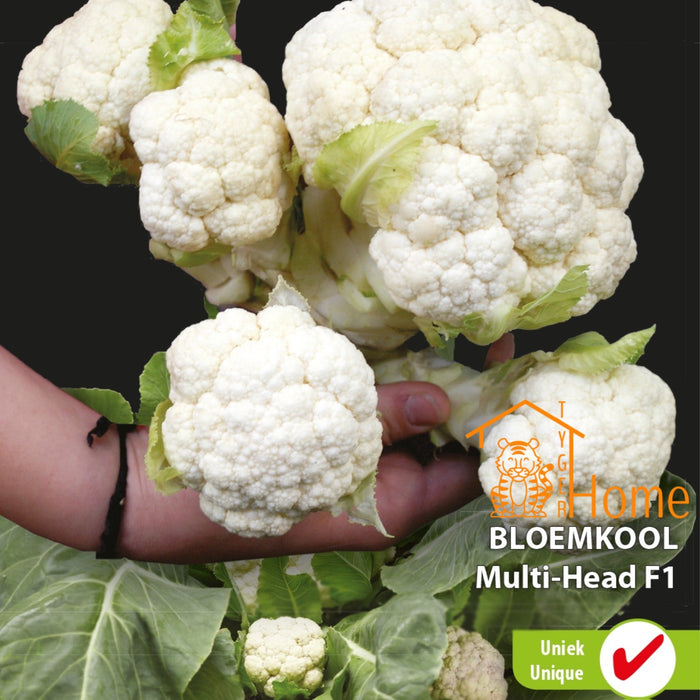 🌿 Kruiden Kweken Binnenshuis: Jouw Gids voor een Groene Keuken!