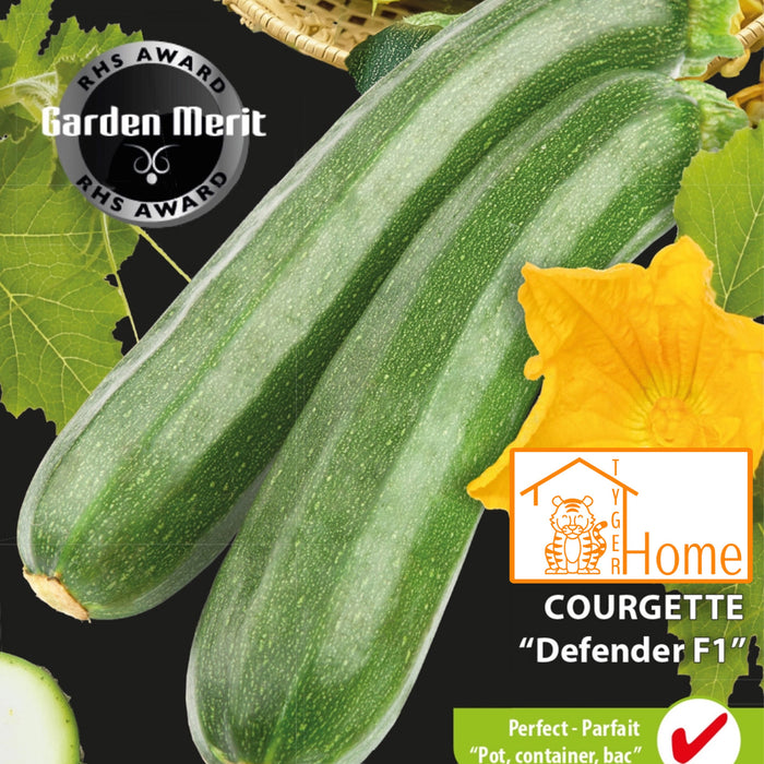 Top 10 fouten bij planten van zaden
