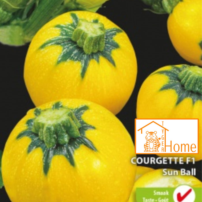 Courgette Sun Ball F1: De Perfecte Ronde Gele Courgette voor Jouw Tuin