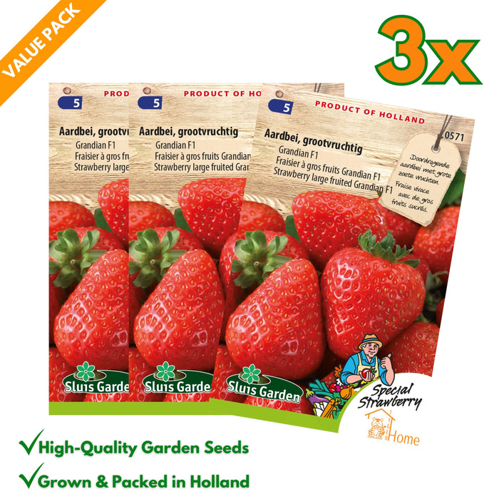 Wij hebben zoveel Fruit zaden tot onze beschikking, alles voor de beste klanten.