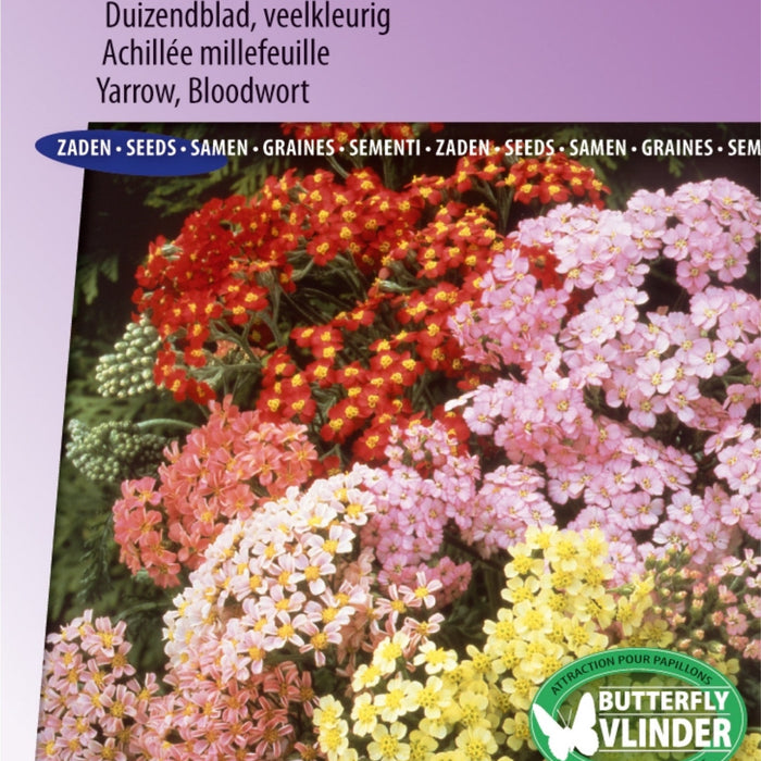 🌿 Top 10 Beste Groenten om Zelf te Kweken in Jouw Moestuin