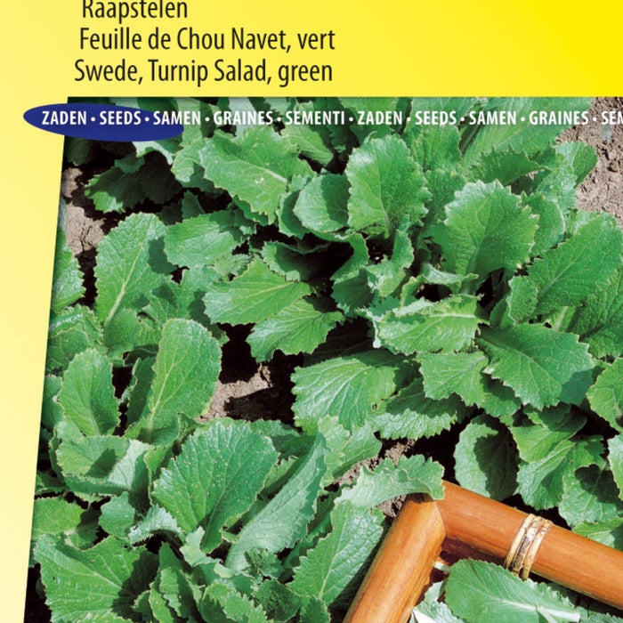 Wij hebben zoveel Fruit zaden tot onze beschikking, alles voor de beste klanten.