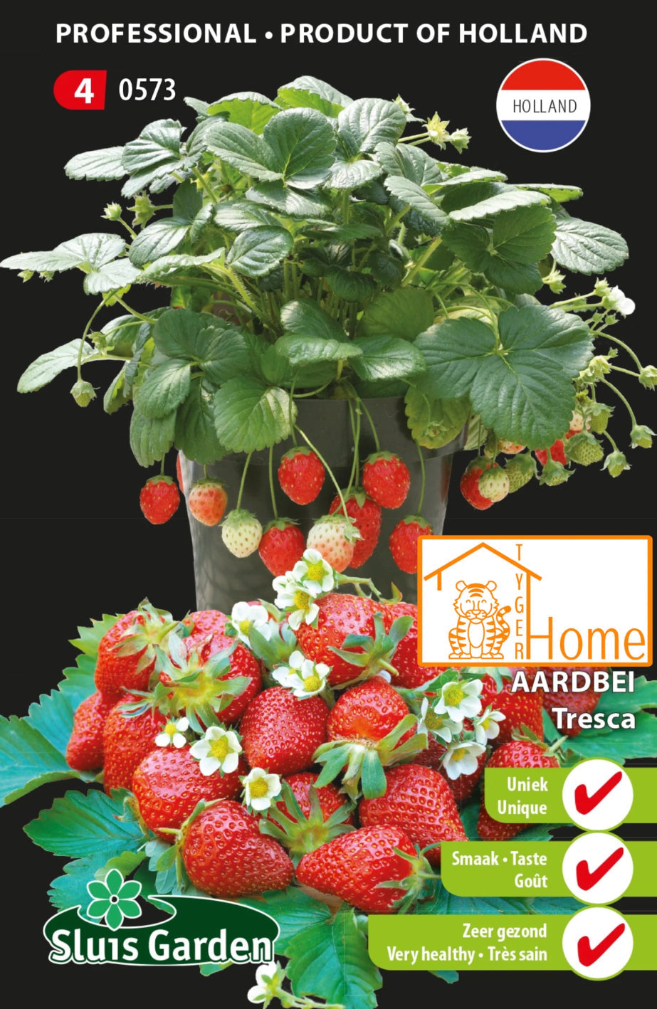 Ontdek de voordelen van de aardbei ‘tresca’ in jouw tuin