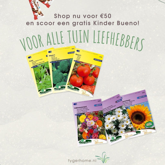 5 plantjes die je moet planten de komende maanden om de beste oogst te hebben dit jaar  dit jaar.