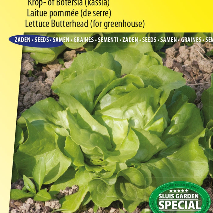 Ontdek de Kleurrijke Schoonheid van Amaranth Strawberry Fields Zaden