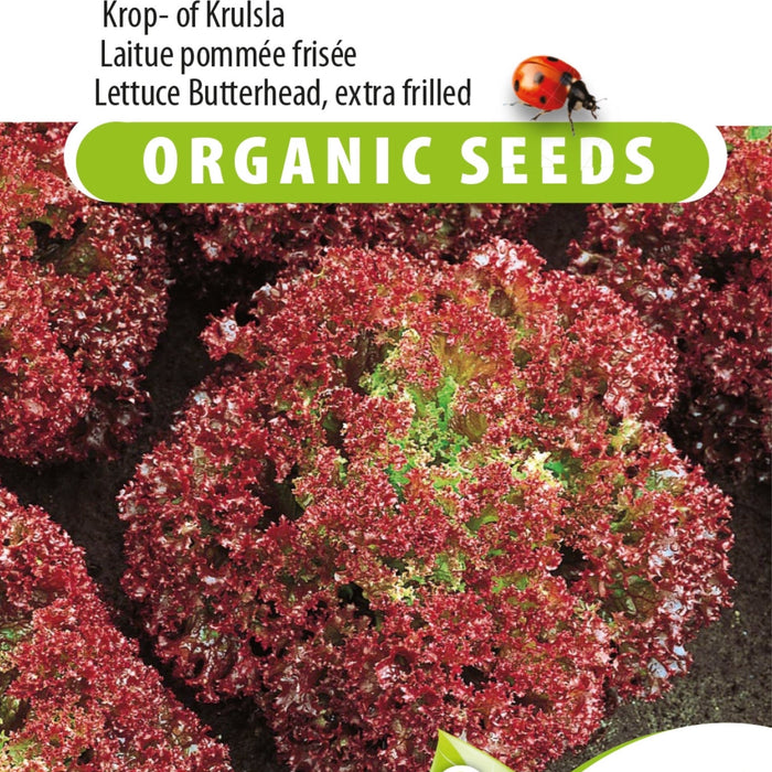 Hydrokorrels - De Basis voor Gezonde Planten
