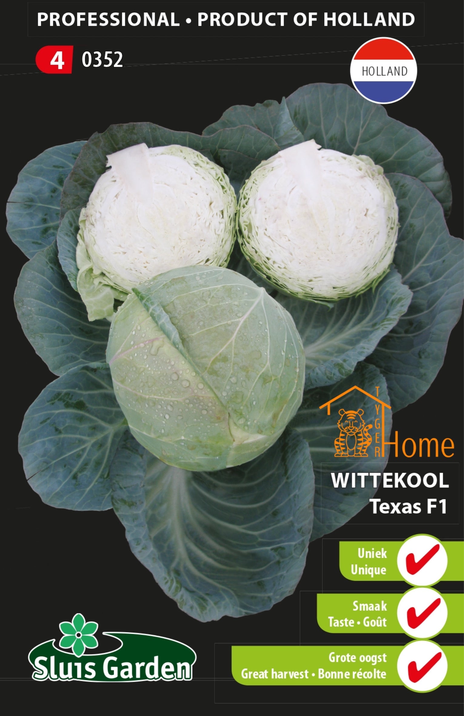 Waarom de Zonnebloem – Helianthus annuus in Terracotta Pot een must-have is voor je tuin