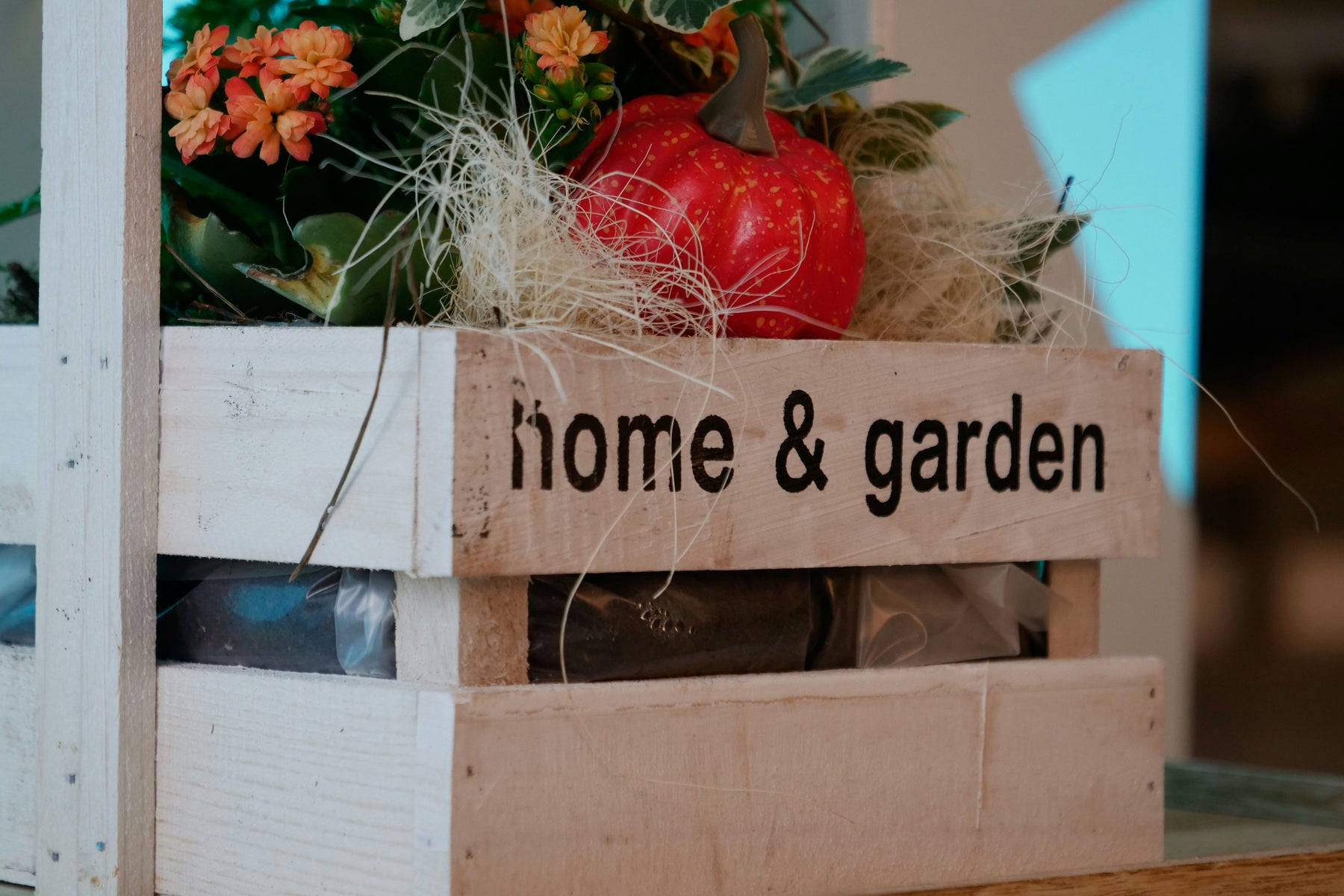 🌱 Beste Groenten om te Planten in de Herfst 🌱