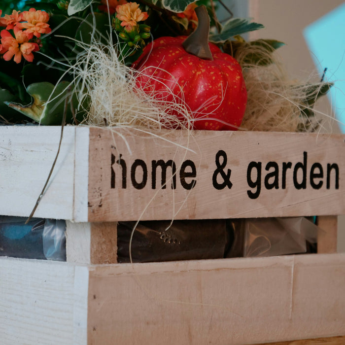 🌱 Beste Groenten om te Planten in de Herfst 🌱