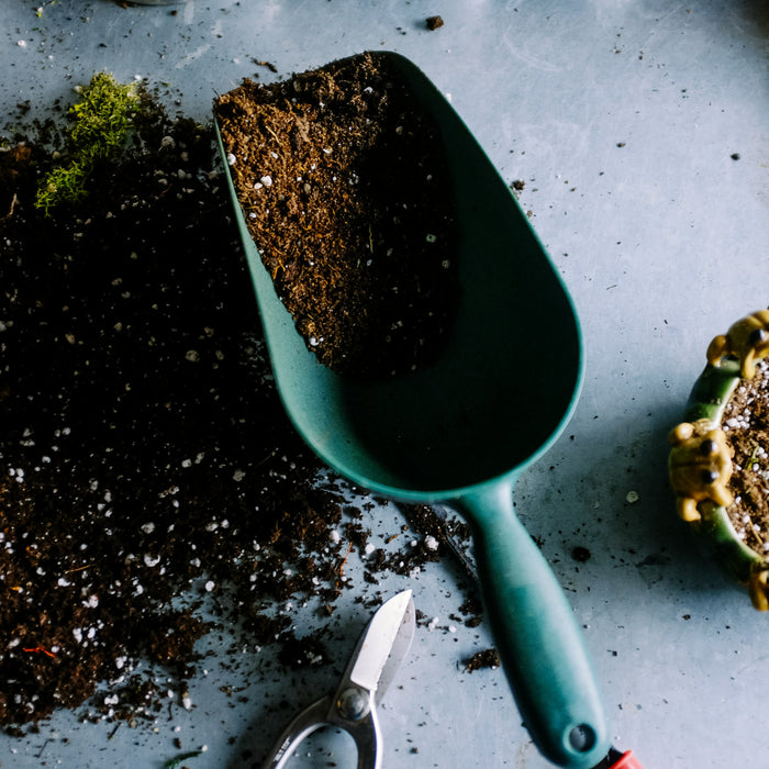 Zaden Starten met Kinderen: Leuke en Educatieve Projecten voor in de Tuin 🌱