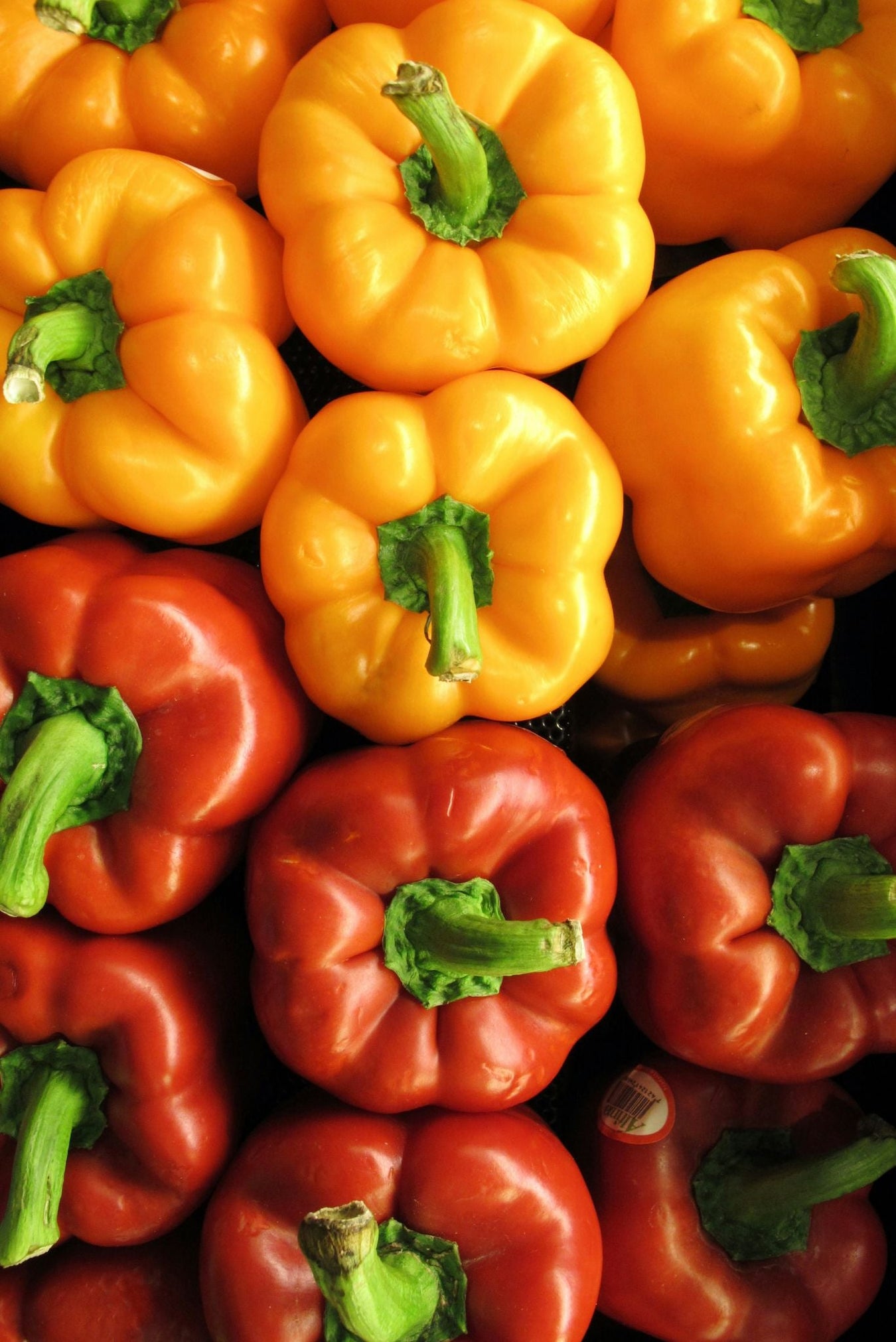 Peper & Paprikazaden