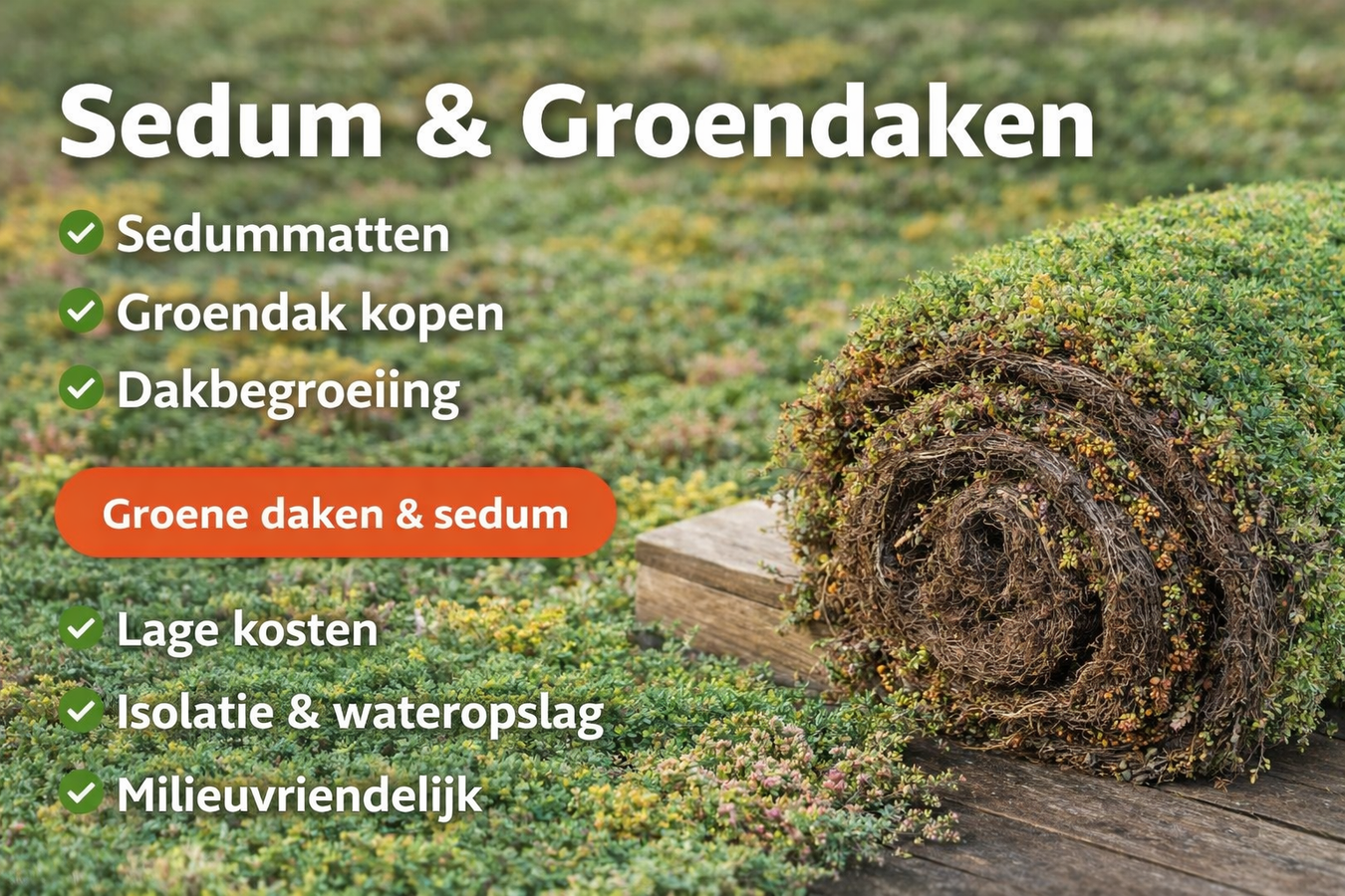 Sedum & Groendaken