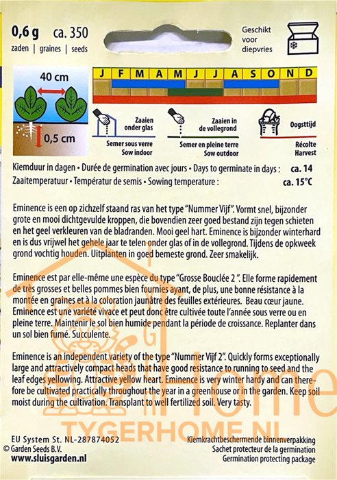 Andijvie zaden – Eminence | Breedbladige Bataviasla