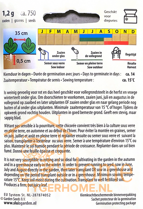 Andijvie zaden – Breedblad Volhart Winter | Winterras Bataviasla
