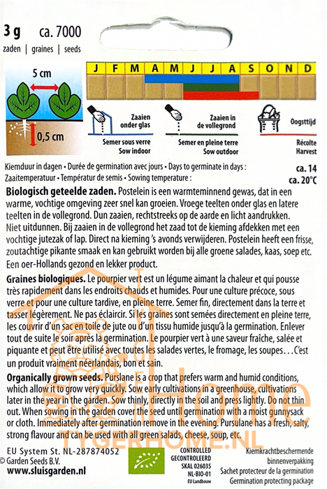 Posteleinzaden – Groene Gewone | Biologisch | Vroege zomergroente - 3x