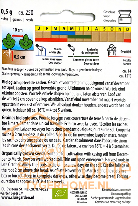 Witlofzaden – Hollandse Middelvroeg | Biologisch | Met dekgrond - 3x