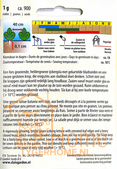 IJsbergsla zaden – Great Lakes 659 | Grote kroppen | IJssla Batavia