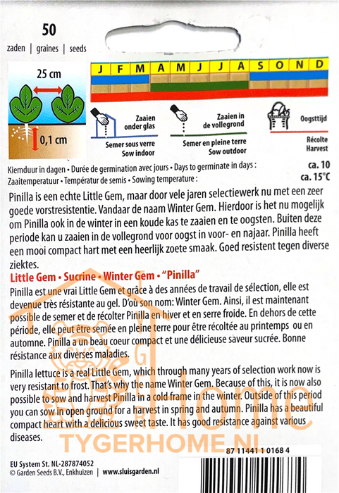 Mini Romeinse sla zaden – Little Gem 'Pinilla' | Resistent & smaakvol
