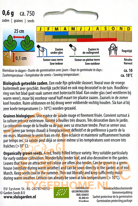 Krulsla zaden – Lollo Rossa | Biologisch | Rood & extra gekruld