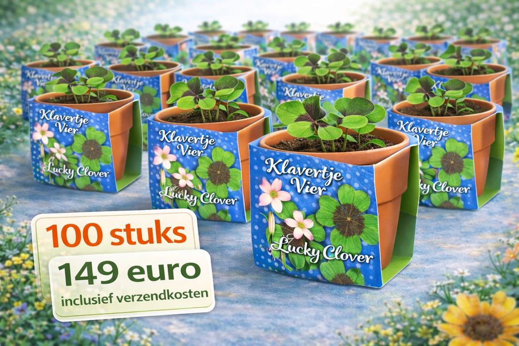 100 Glückskleeblätter – Terrakottatopf | 149 € inkl. Versandkosten 