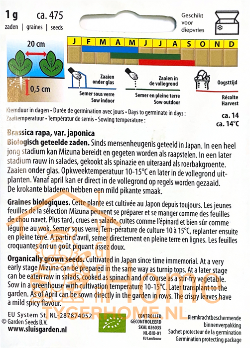 Mizuna | Japanse mosterdsla | Snelgroeiende, zachte bladeren | Ideaal voor salades en roerbakgerechten