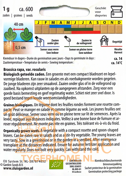 Tatsoi Green Coin | Chinese flat cabbage | Snelgroeiende Aziatische groente | Heerlijk in salades en roerbakgerechten