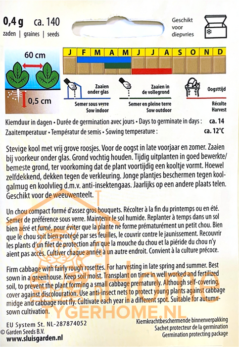 Bloemkool Alpha 6 | Voorjaars-zomer oogst | Stevige kroppen met fijne smaak | Ideaal voor koken, bakken of invriezen