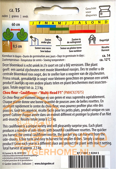 Bloemkool Multi-Head F1 | Uniek ras met meerdere kroppen | Zoet van smaak | Grote oogst van voorjaar tot zomer