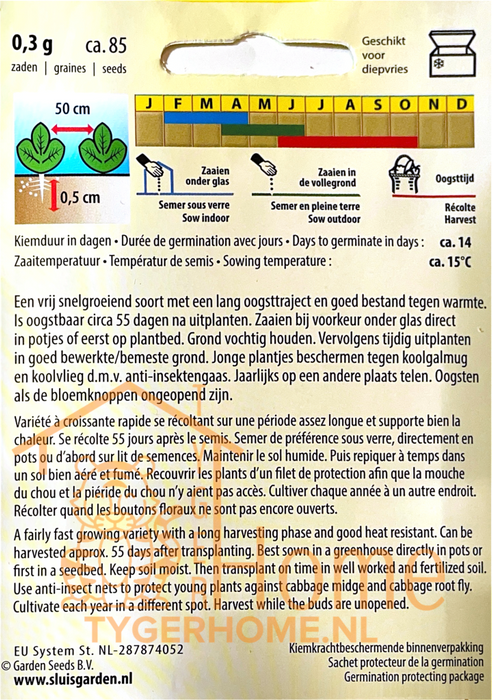 Broccoli Atlantis F1 | Lang oogstbaar & krachtig ras | Groeit snel en rijk in de moestuin | Hollandse topkwaliteit
