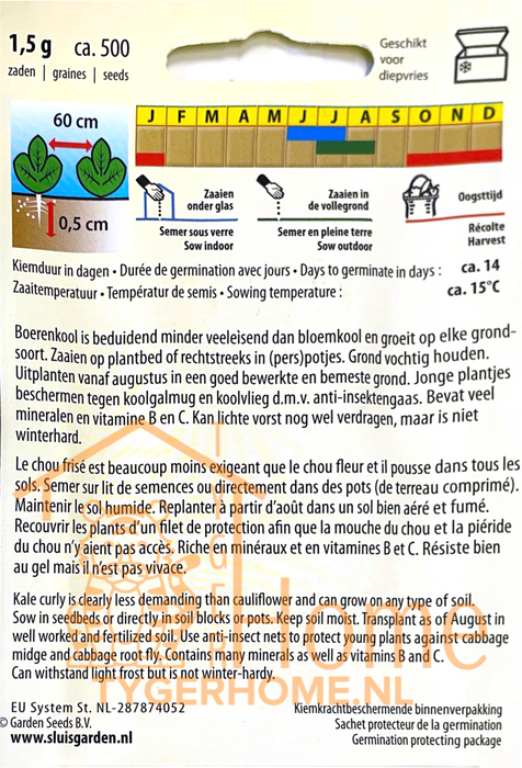Boerenkool Westlandse Herfst (late) | Krulkool voor herfst en winter | Rijk aan vitamines | Ideaal voor stamppot & smoothies