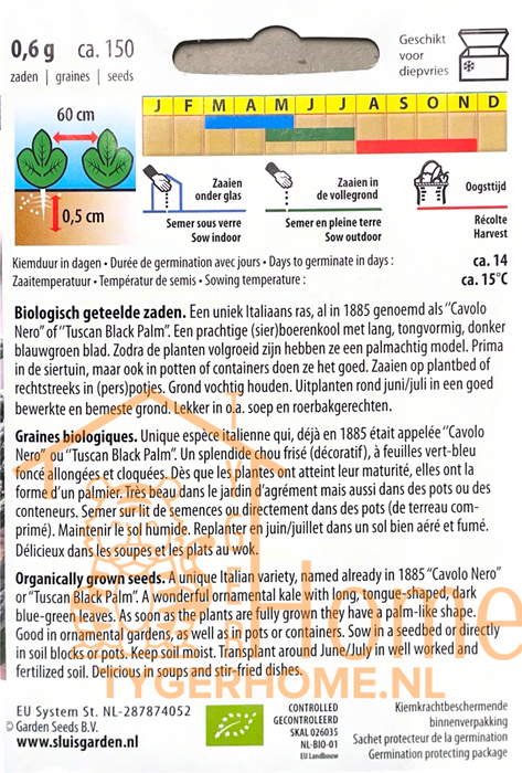 Palmkool Nero di Toscana | Italiaanse cavolo nero | Donkergroene bladeren, rijke smaak | Perfect voor stoofschotels en salades