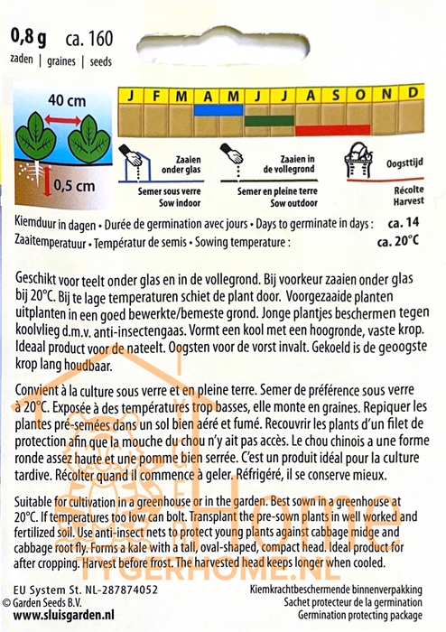 Chinese Kool Spectrum F1 | Sappige Aziatische bladgroente | Voor kas en vollegrond | Snelgroeiend en mild van smaak