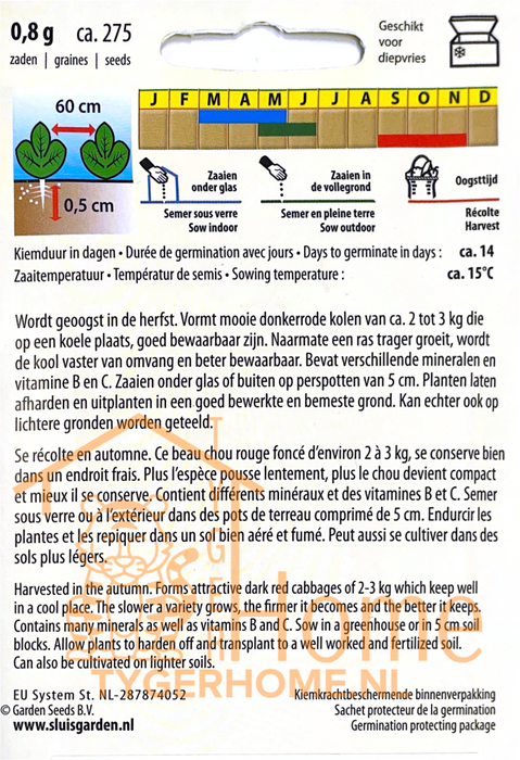 Rodekool Langedijker Bewaar 2 | Late oogst & lange bewaartijd | Knapperige rode kool uit eigen tuin | Herfstteelt