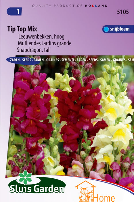 Tip Top Mix Leeuwenbekken Hoog Zaden: Kweek Prachtige, Kleurrijke Leeuwenbekken - Grow Beautiful, Colorful Tall Snapdragons - Cultivez de Magnifiques Mufliers Multicolores de Grande Taille
