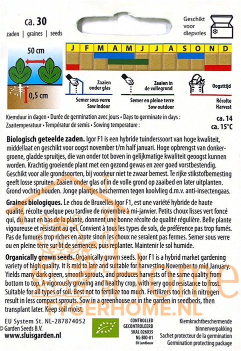 Spruitkool Igor F1 | Biologische zaden | Winterhard & productief | Heerlijk voor stoofpotten en ovenschotels