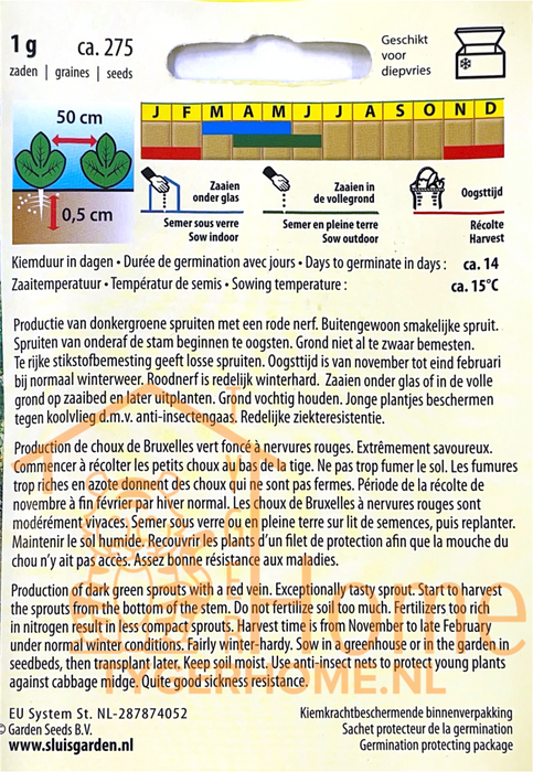 Spruitkool Roodnerf | Winteroogst | Sterk & productief | Ideaal voor koude maanden en stevige maaltijden