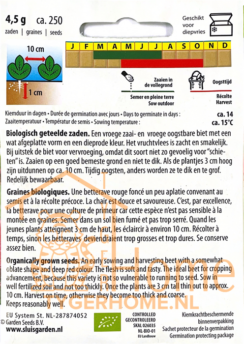 Egyptische Platronde Rode Biet Kroot Zaden: Kweek Je Eigen Heerlijke en Voedzame Bieten
