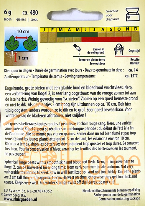 Kogel 2 Nero Rode Kroot Zaden: Kweek Je Eigen Dieprode en Heerlijke Bieten