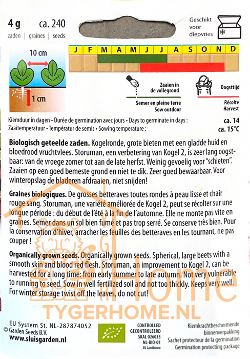 Biet Kogel 2 Storuman | Biologische ronde biet met gladde schil en zoete smaak | Ideaal om te koken of inmaken