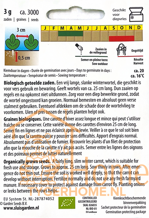 Berlikumer 2 Wortel Zaden: Kweek Heerlijke, Lange Herfst- en Winterwortelen - Grow Delicious, Long Autumn and Winter Carrots